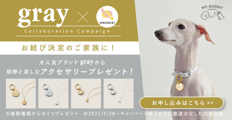 保護犬 保護猫の里親募集サイトならomusubi お結び